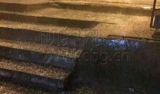 重庆大雨网最新爆料,暴雨来袭，城市应对挑战纪实